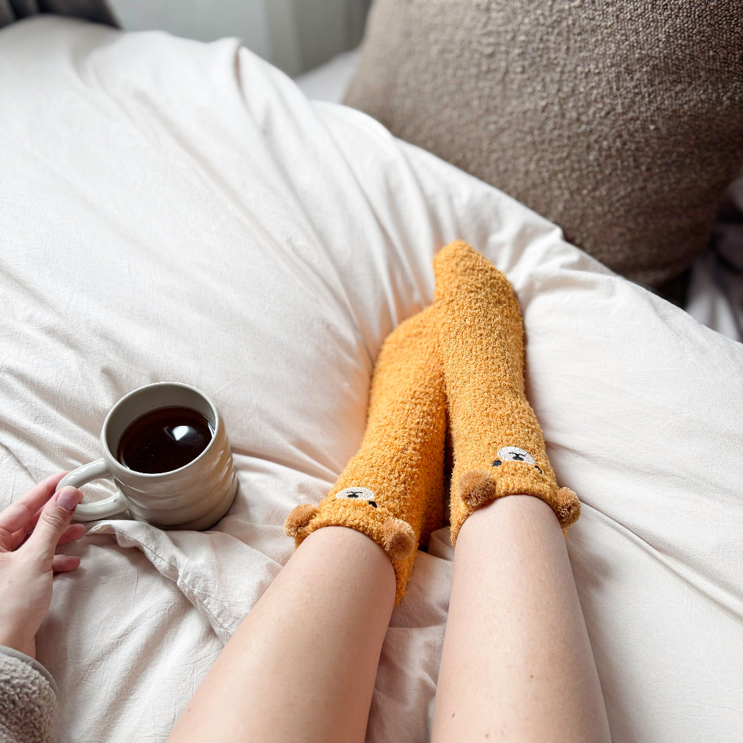 Teddy Bear Fuzzy Socks Pack