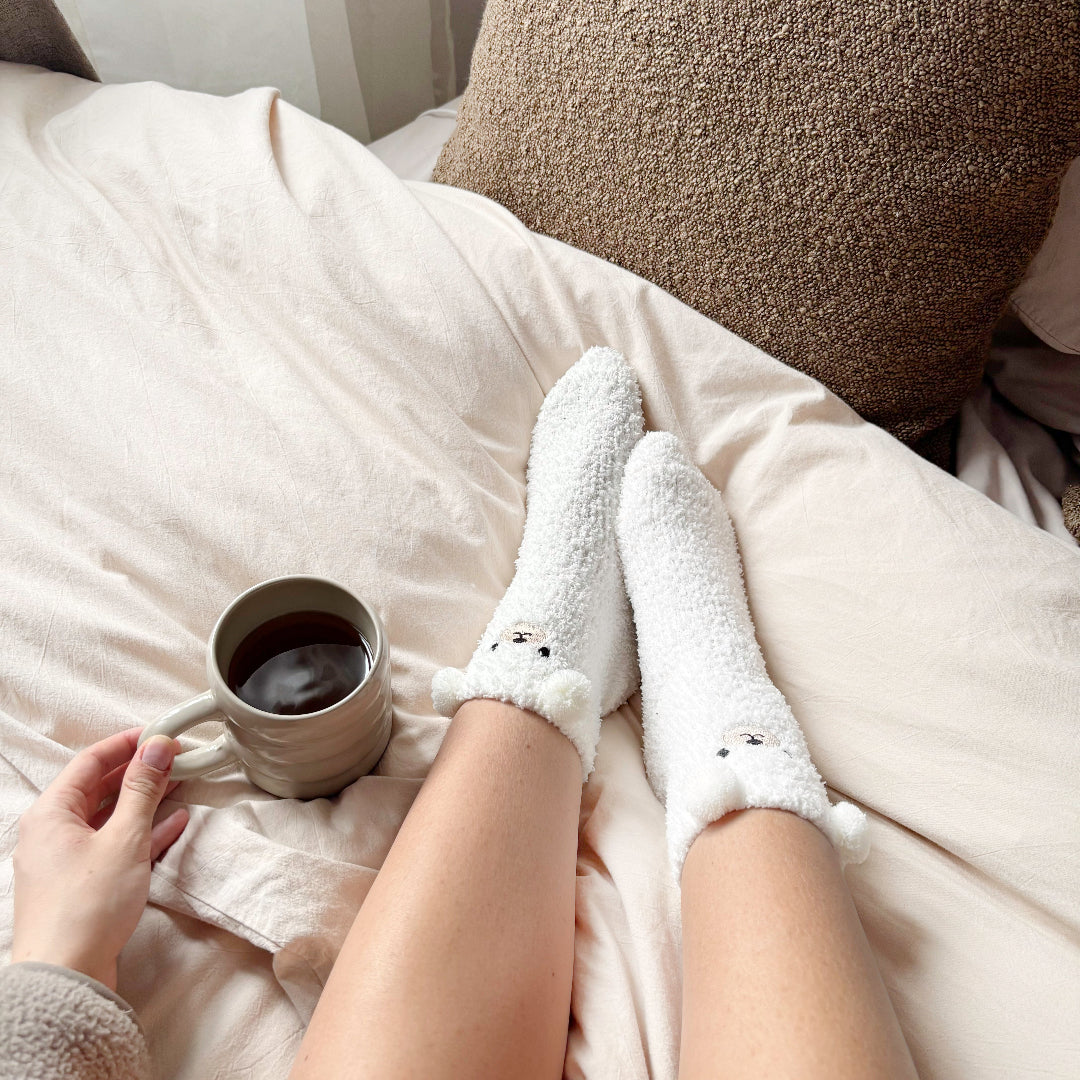 Teddy Bear Fuzzy Socks Pack