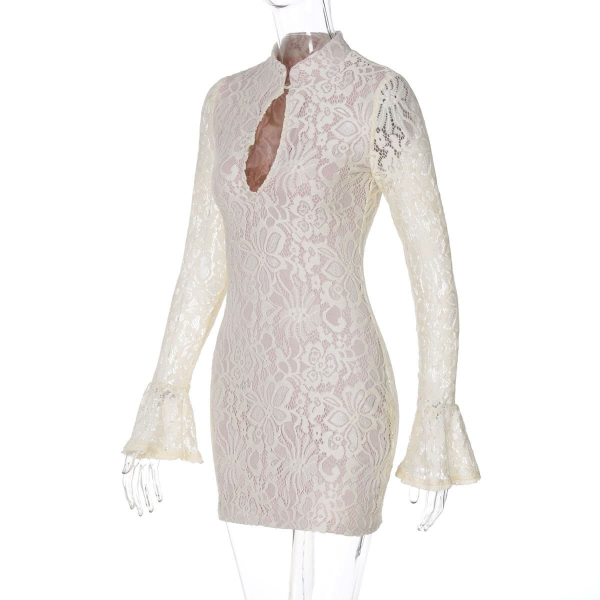 Mock Neck Keyhole Cutout Floral Lace Long Sleeve Bodycon Mini Dress