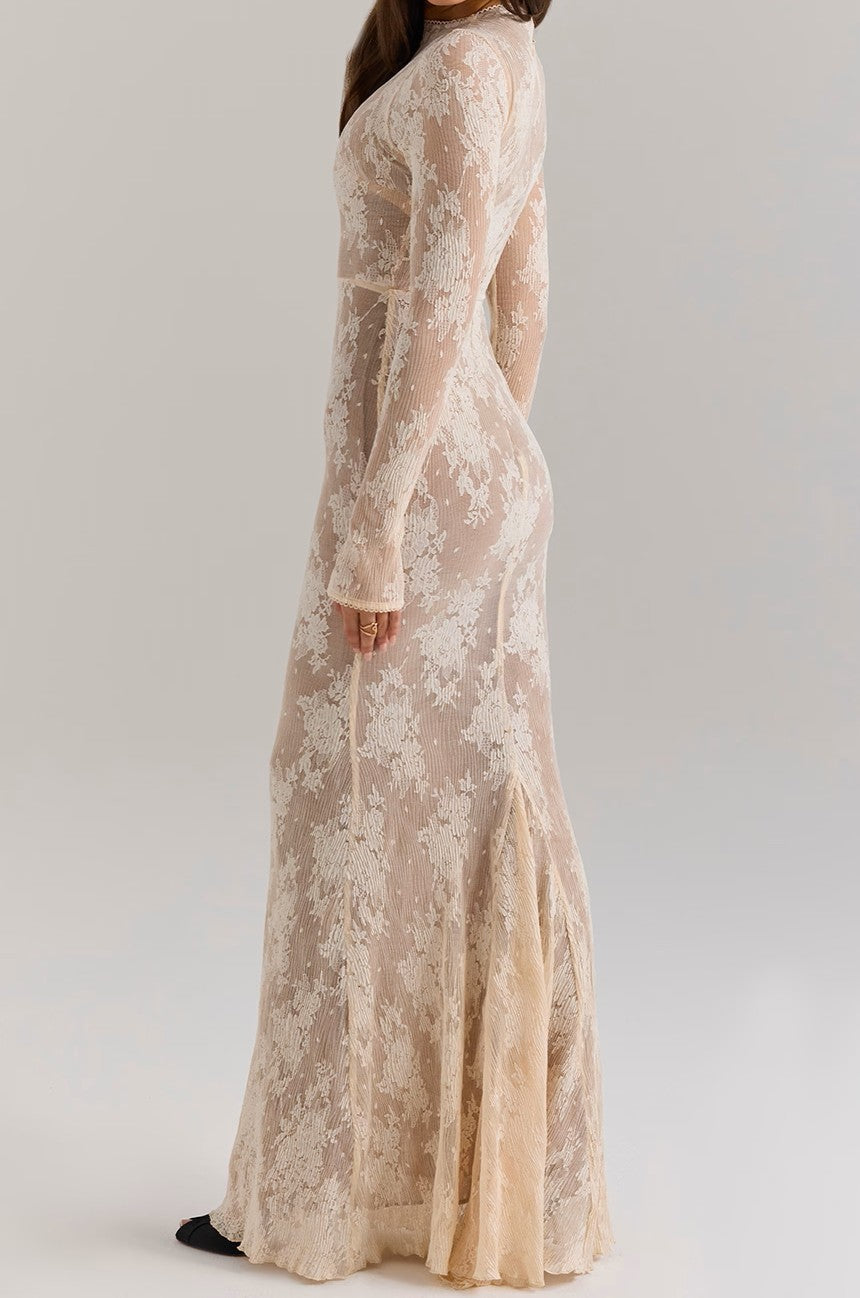 Mock Neck Long Sleeve Floral Lace Sheer Overlay Bodycon Maxi Dress