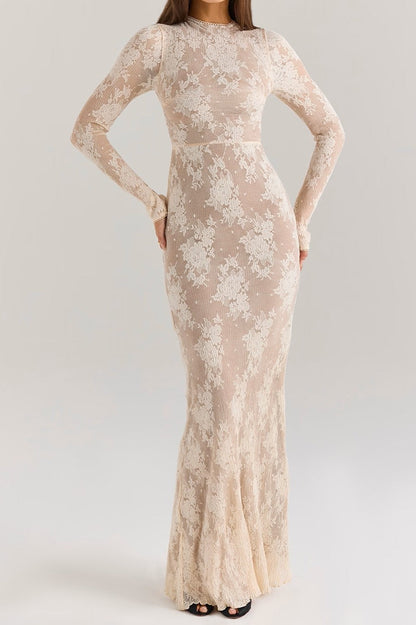Mock Neck Long Sleeve Floral Lace Sheer Overlay Bodycon Maxi Dress