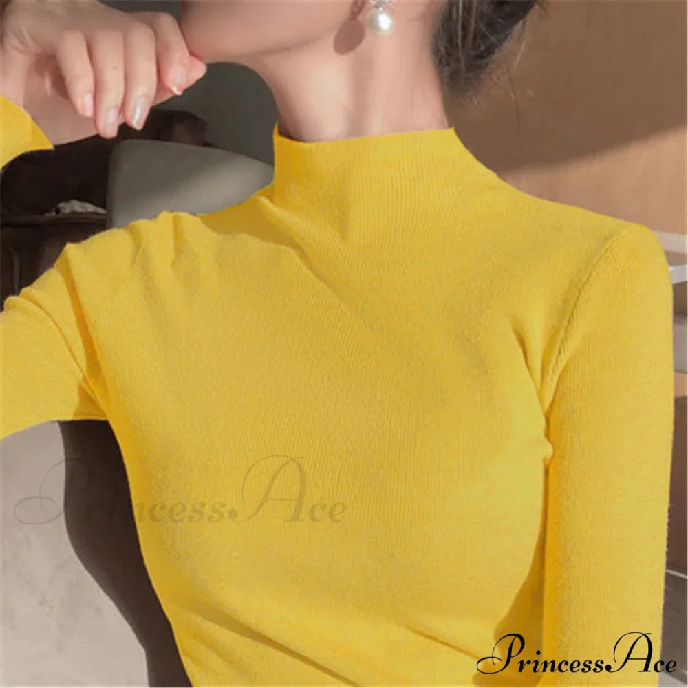 Knitted Turtleneck Pullovers Top