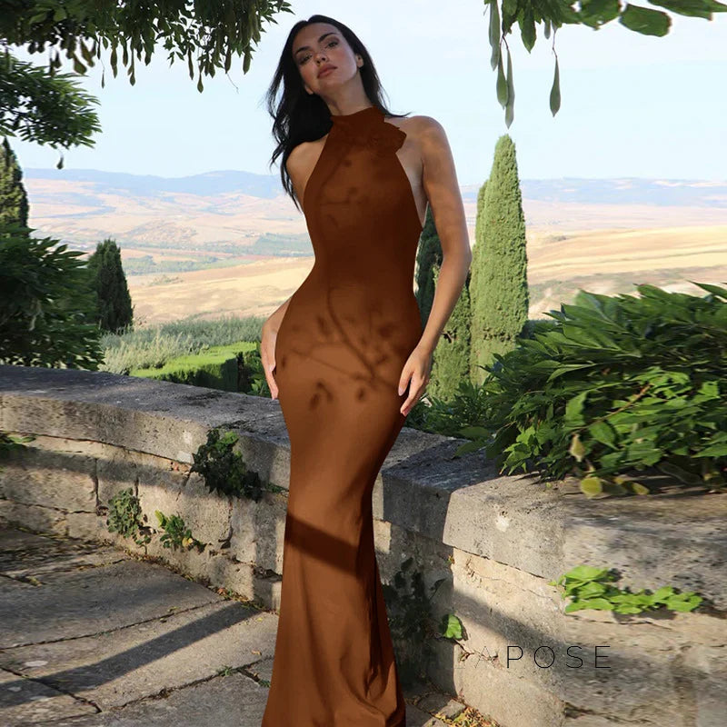 Iliana Halter Backless Maxi Dress