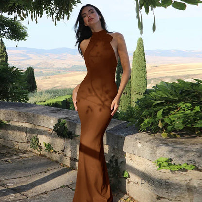Iliana Halter Backless Maxi Dress