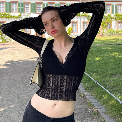 Kim Sheer Lace V-Neck Top