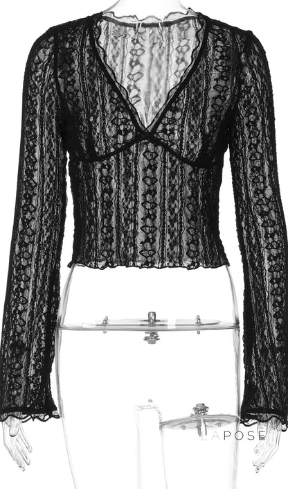 Kim Sheer Lace V-Neck Top