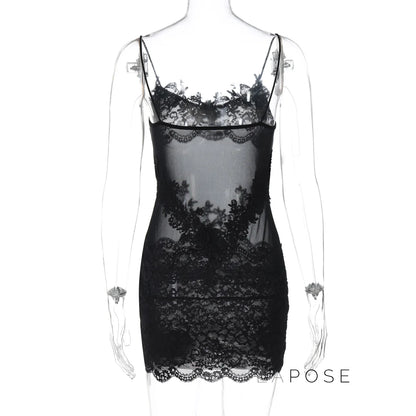 Whitleigh Lace Mesh Mini Dress