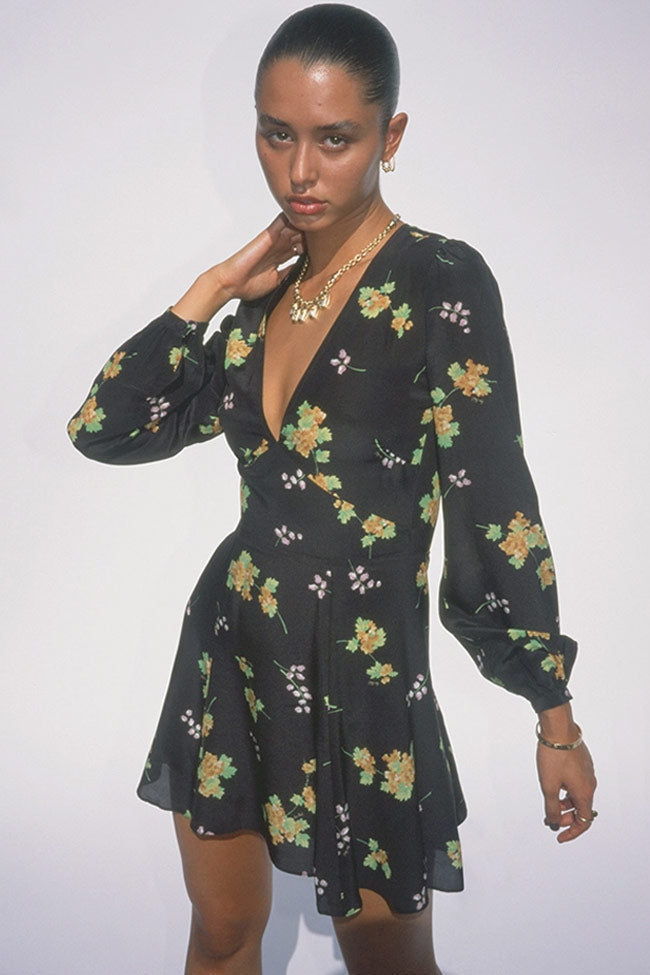 Floral Print Deep V Long Sleeve Fit Flare Mini Dress