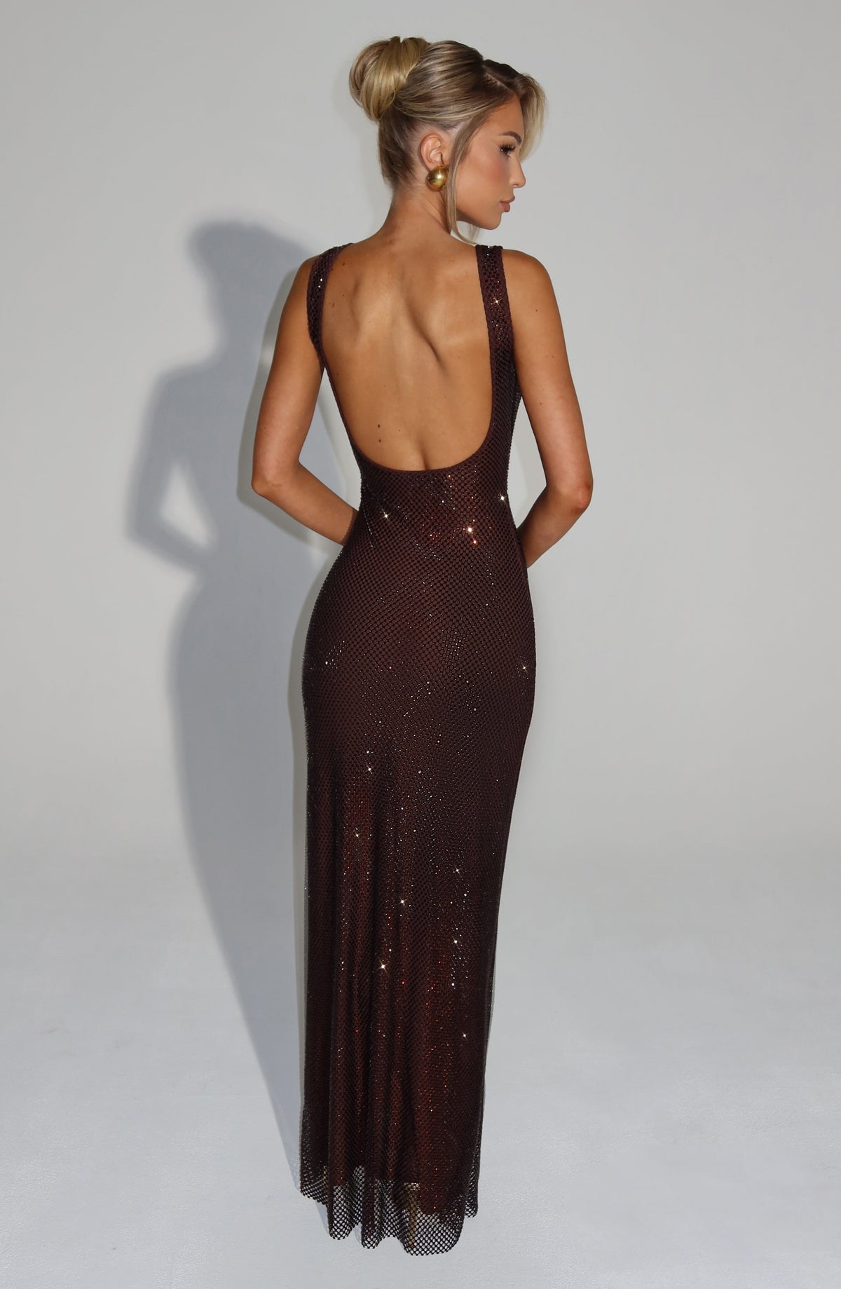 Mariana Sheer Maxi Dress