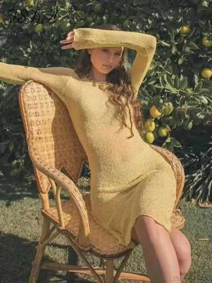 Sheer Crochet Knit High Neck Long Sleeve Bodycon Mini Dress