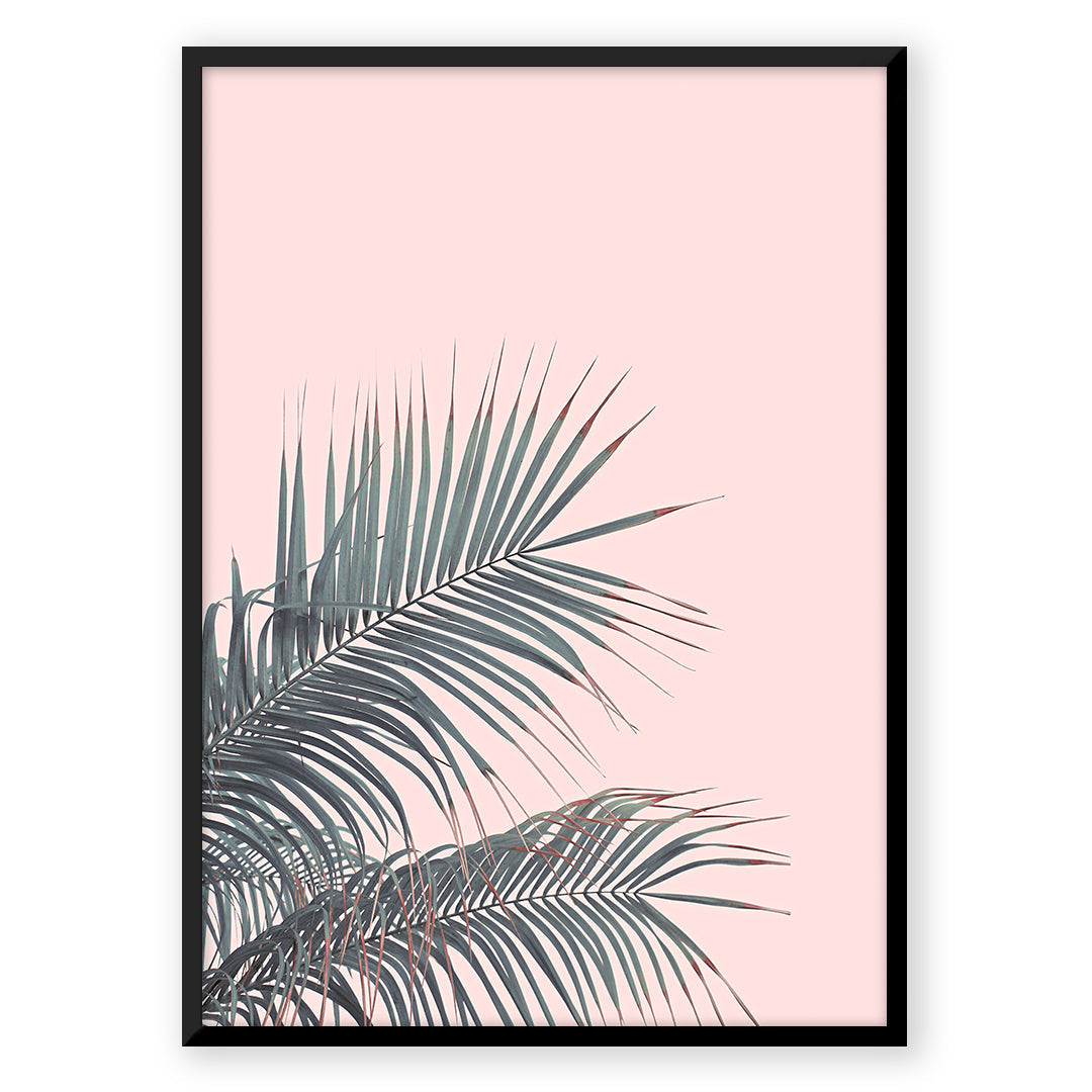 Pink Tropic