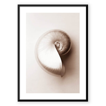 Zen Shells