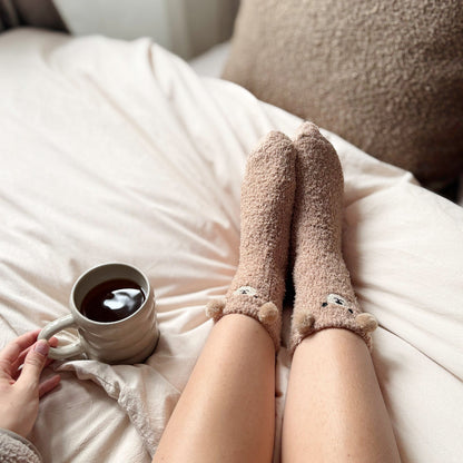 Teddy Bear Fuzzy Socks Pack
