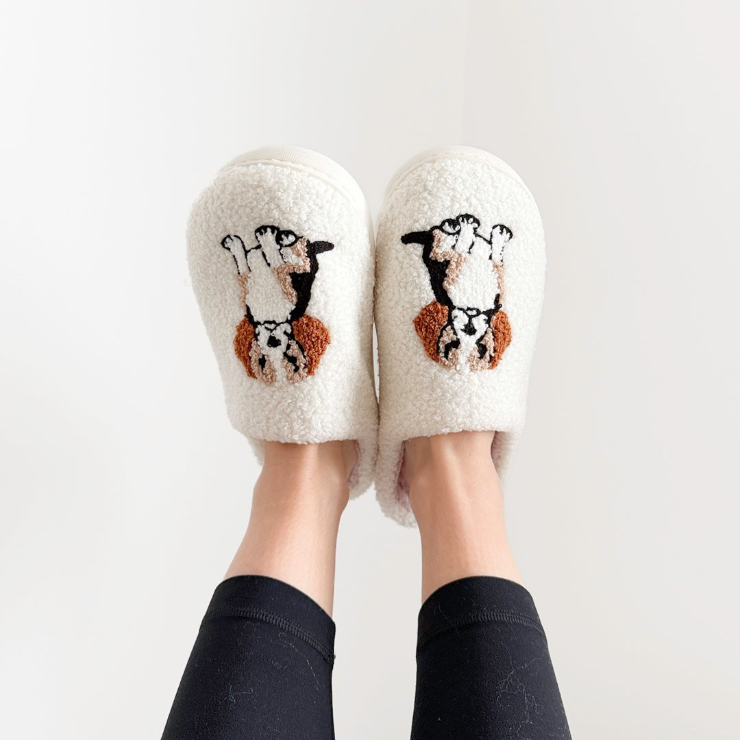 Cavalier King Charles Slippers